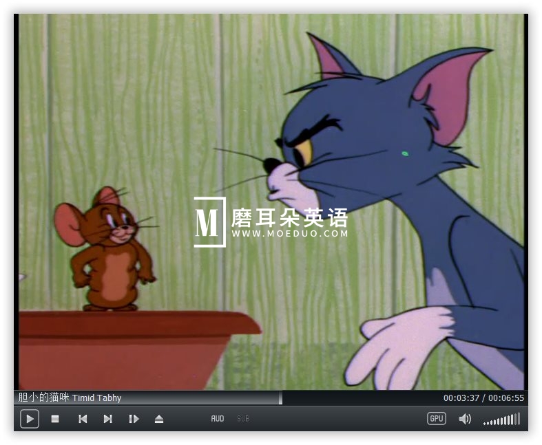 Tom and Jerry 猫和老鼠 图片41