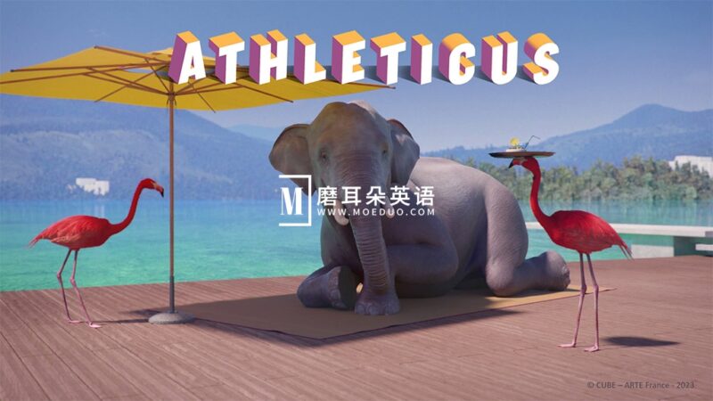 法国动画短片《Athleticus 运动趣事》全1-2季共60集，1080P高清视频，百度网盘下载！ - 磨耳朵英语